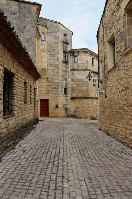 Entre Uzes Et Le Pont-Du-Gard Le Logis D'Autrefois Apartment Castillon du Gard Bagian luar foto